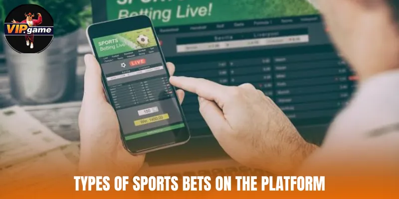 Types of sports bets on the platform